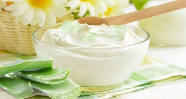 Sữa chua là nguồn thực phẩm giàu probiotic, cung cấp lợi khuẩn thúc đẩy tiêu hóa trong ruột.